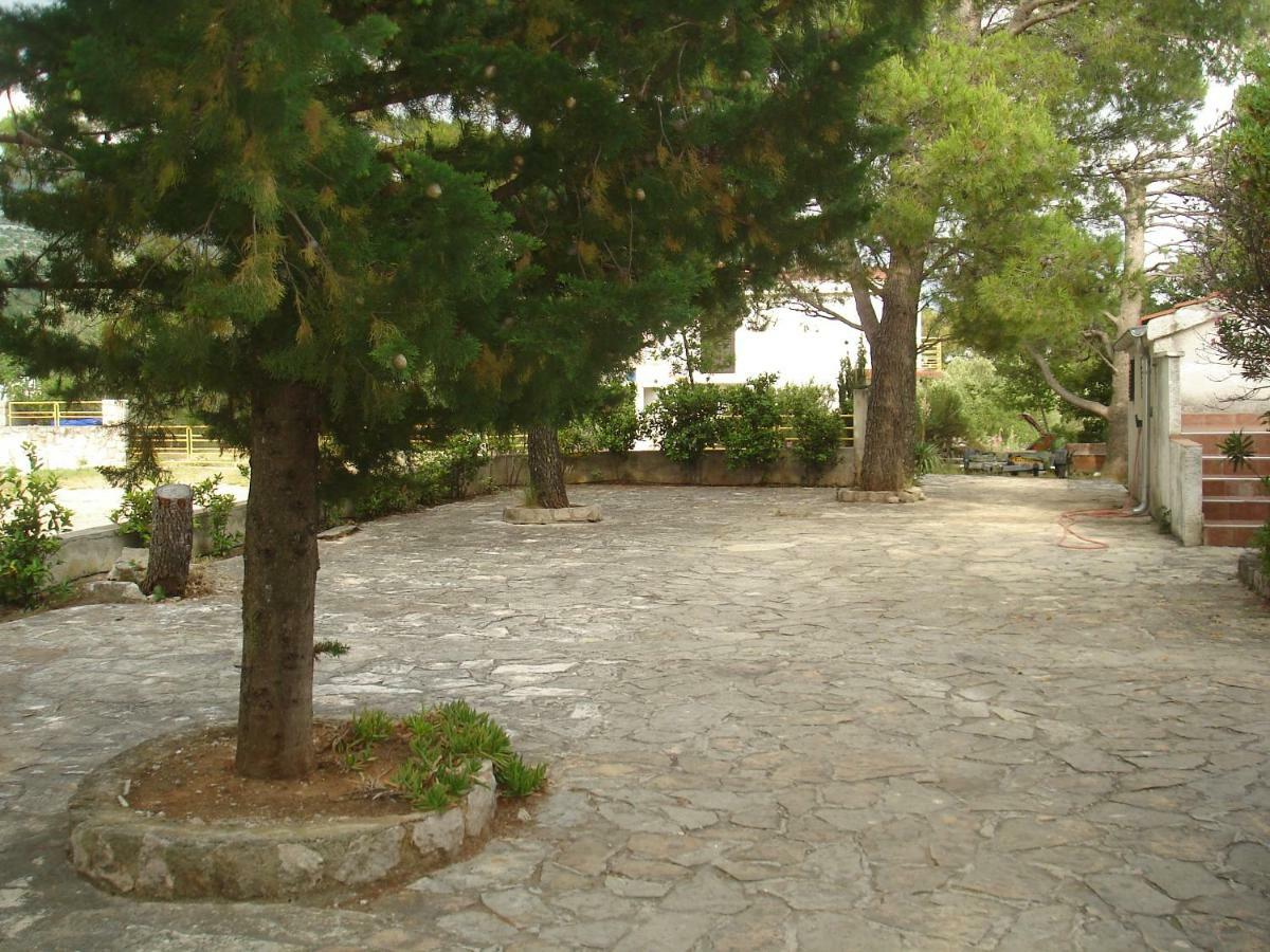 Apartment Jaz Seline